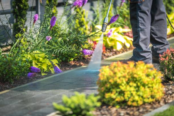 Best Winterizing Services  in Oak Grove Heights, AR